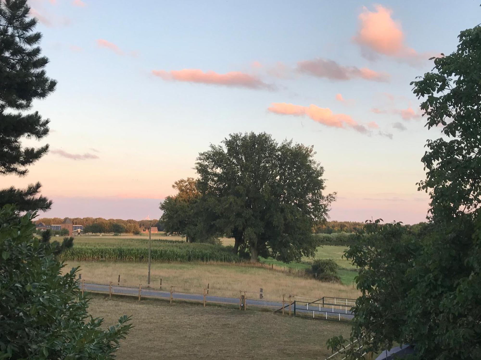 Ks Kotten Bed And Breakfast Rees Buitenkant foto