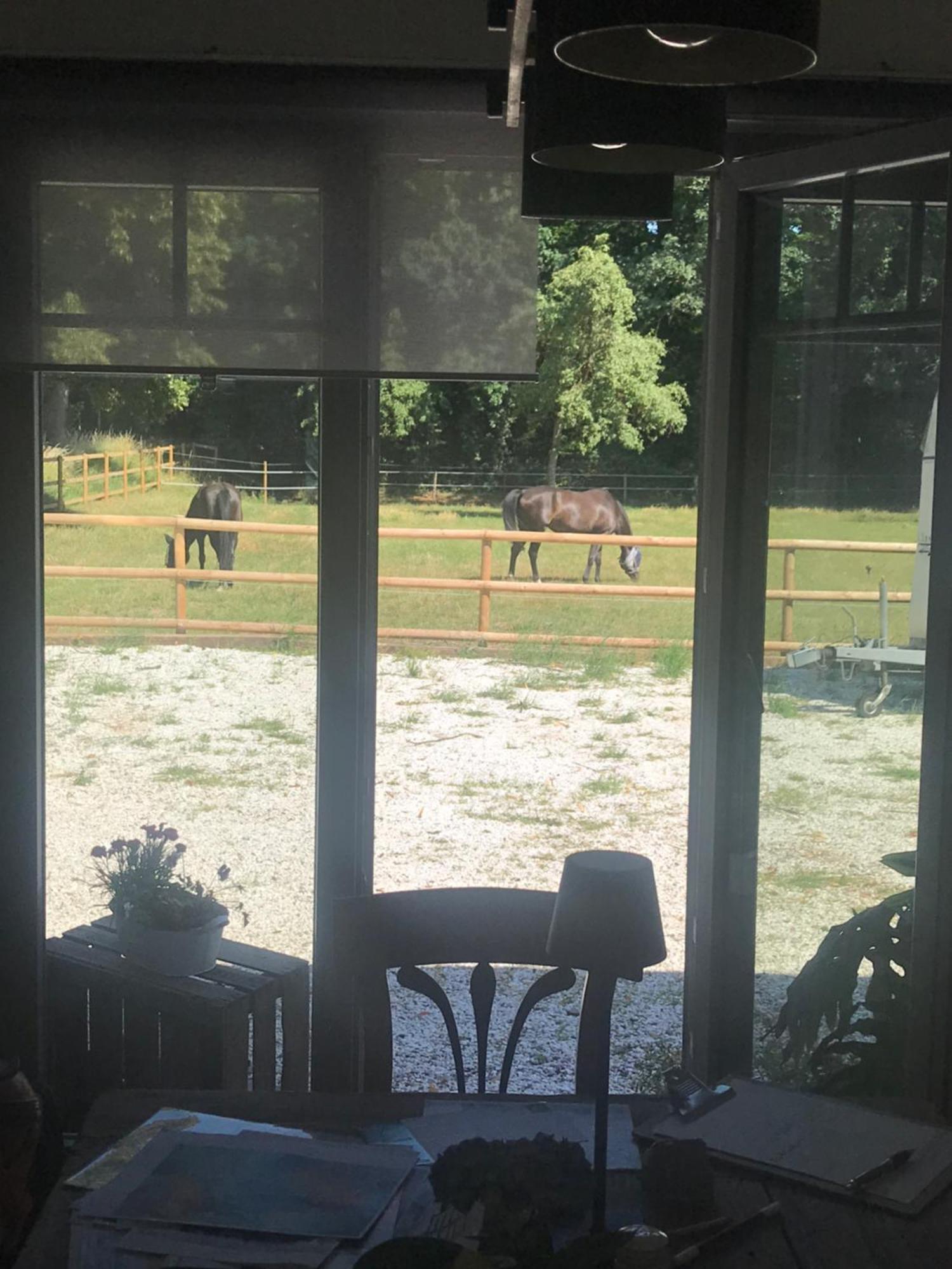 Ks Kotten Bed And Breakfast Rees Buitenkant foto